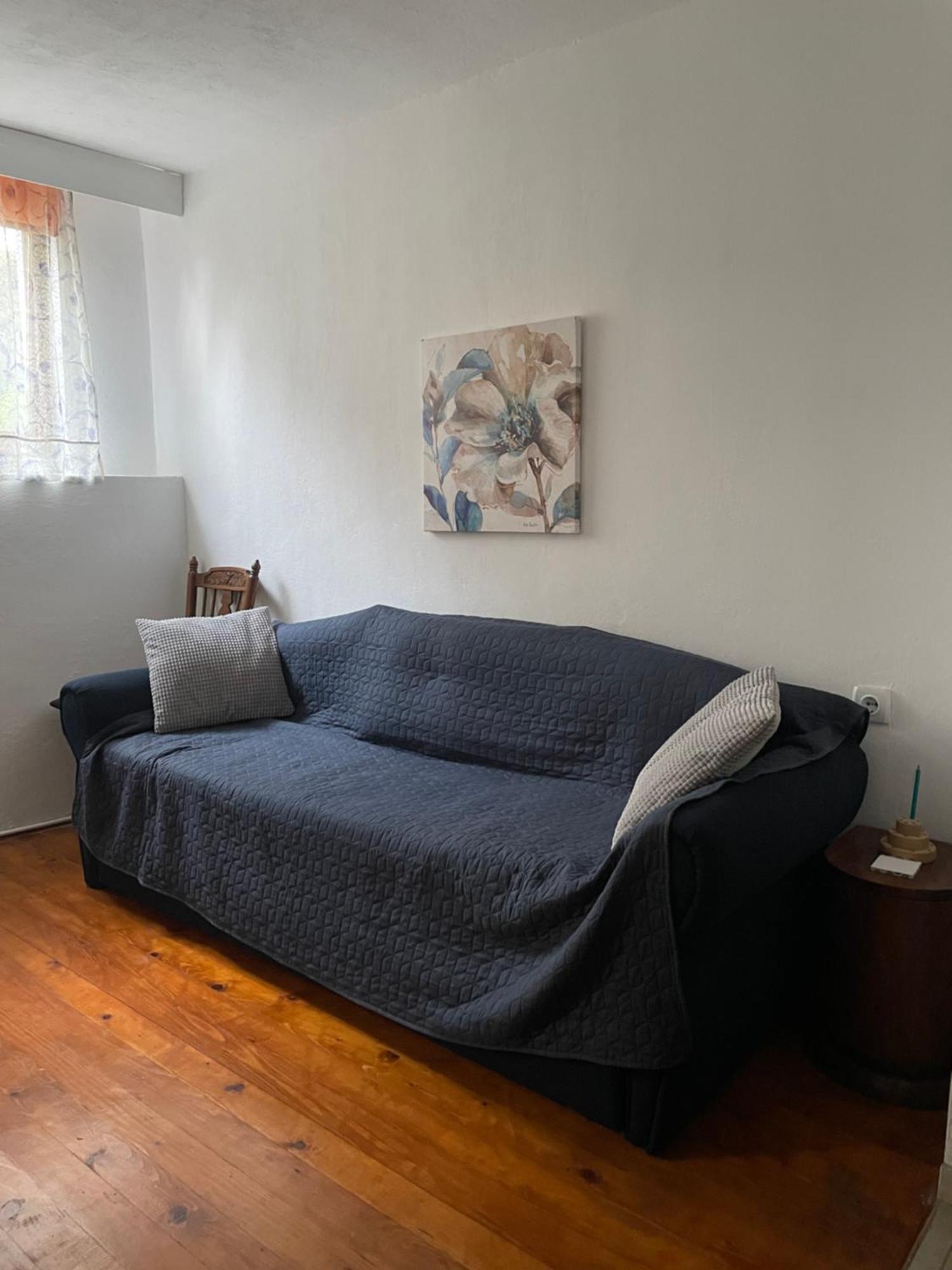 5Min Airport Apartment Surcin Ngoại thất bức ảnh